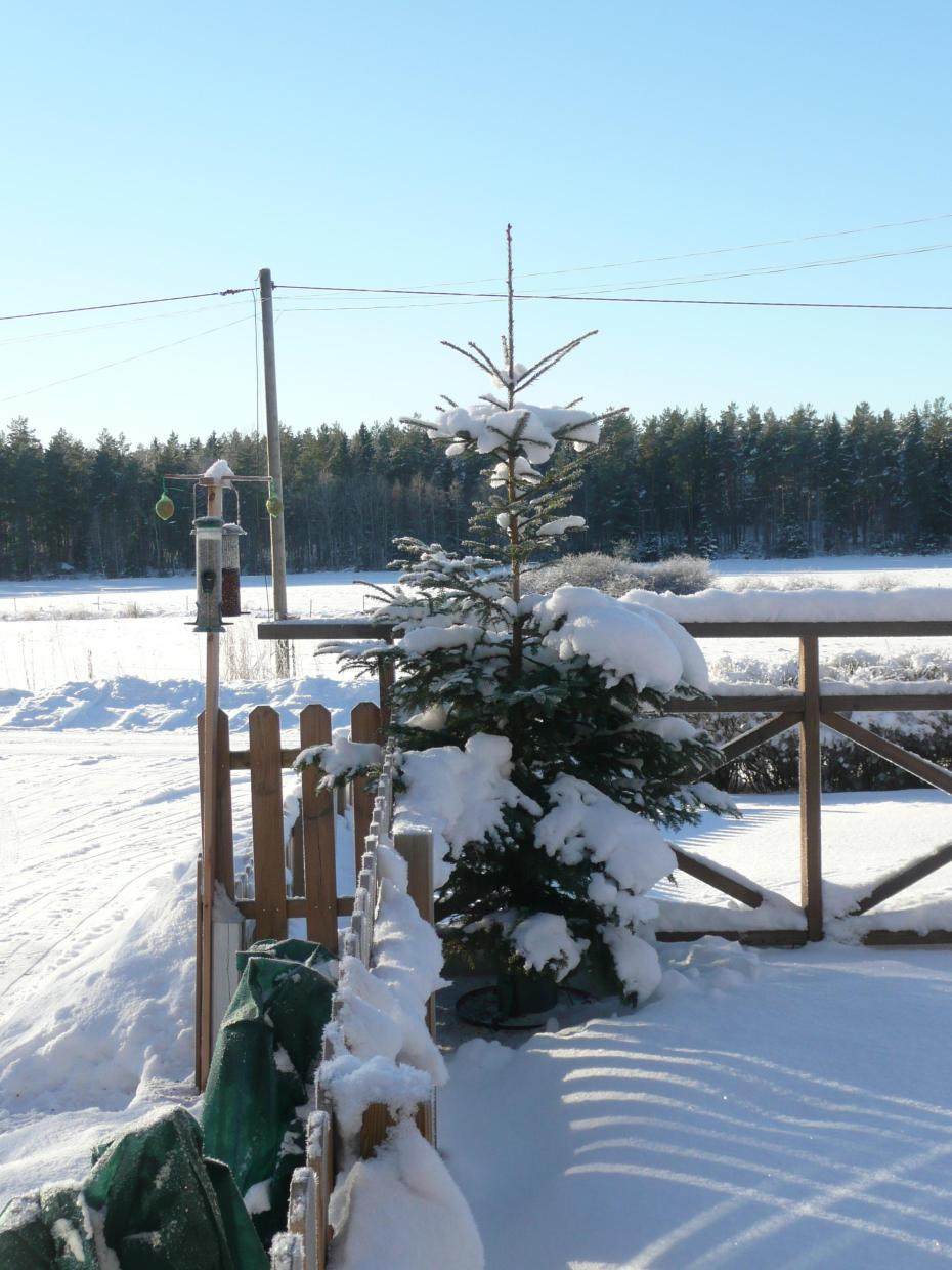 out in the could now